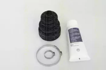 triscan-854024906