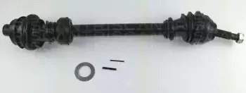 triscan-854025503