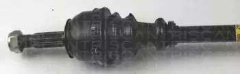 triscan-854025516