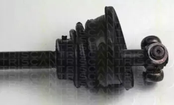 triscan-854025516