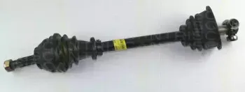 triscan-854025518