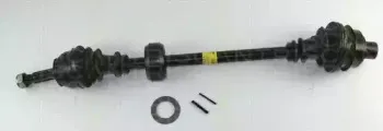 triscan-854025521