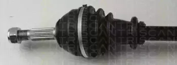 triscan-854025524