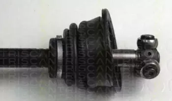 triscan-854025524