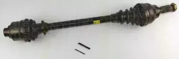 triscan-854025529
