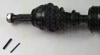 triscan-854025542