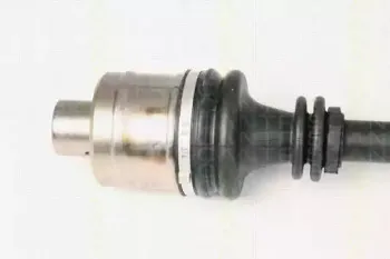 triscan-854025544