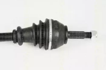 triscan-854025544