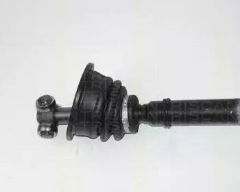 triscan-854025545