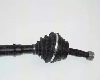 triscan-854025545