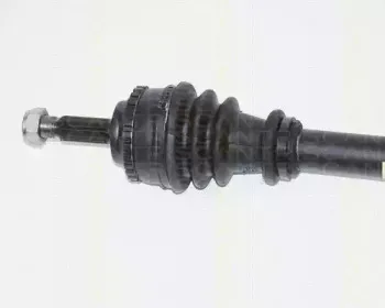 triscan-854025552