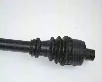 triscan-854025552