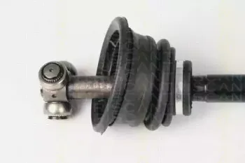 triscan-854025561