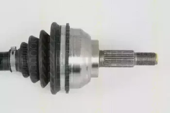 triscan-854025561