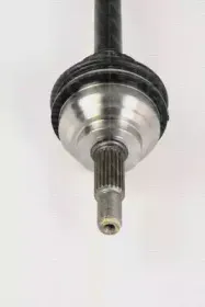triscan-854025561