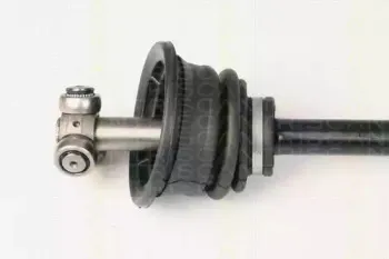 triscan-854025569
