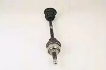 triscan-854025569
