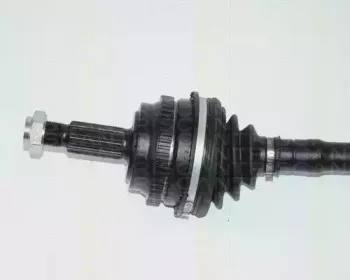 triscan-854025580