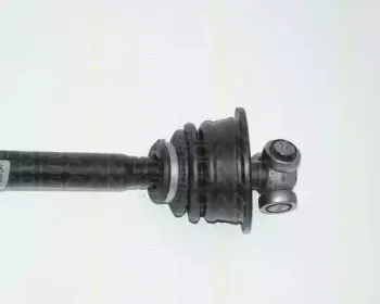 triscan-854025580