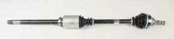 triscan-854025583