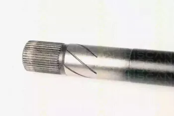triscan-854025583