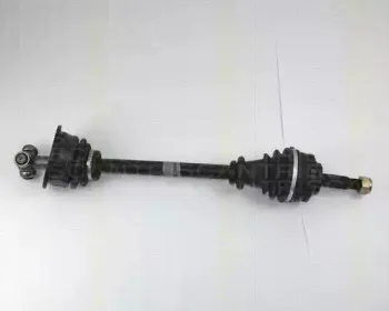 triscan-854025586
