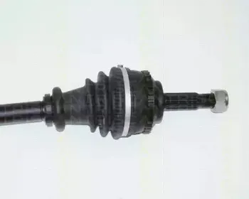 triscan-854025586