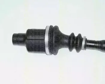 triscan-854025587