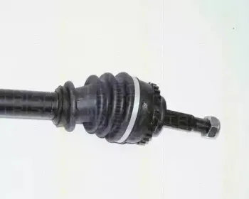 triscan-854025587