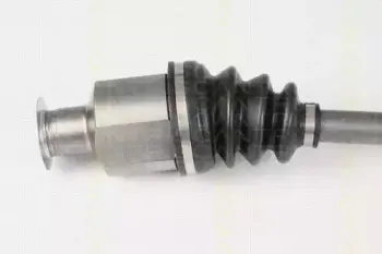 triscan-854025591