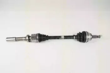 triscan-854025595
