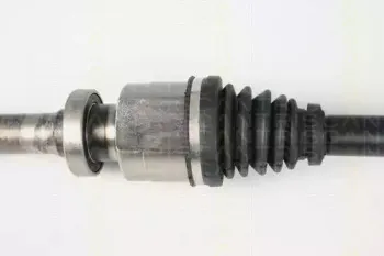 triscan-854025595