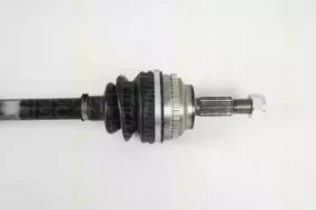 triscan-854025595