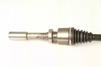 triscan-854025596
