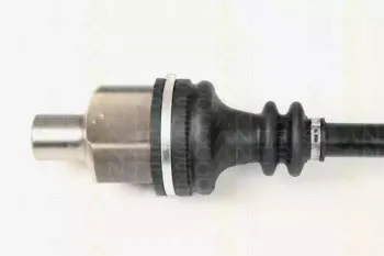 triscan-854025600
