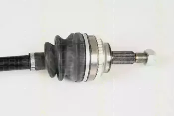 triscan-854025601