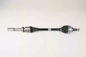 triscan-854025606