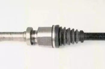 triscan-854025606