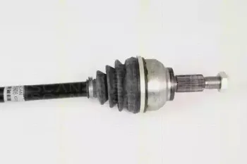 triscan-854025606