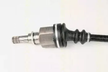 triscan-854025607