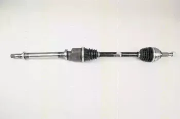 triscan-854025608