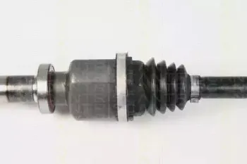triscan-854025608