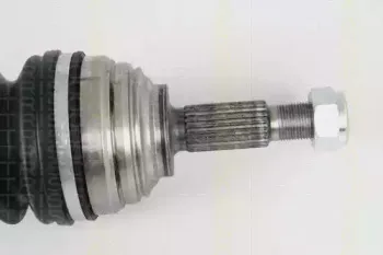 triscan-854025611