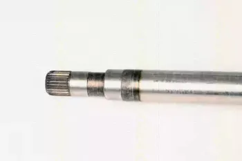 triscan-854025612