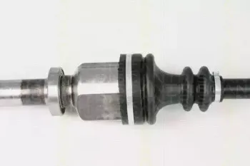 triscan-854025612