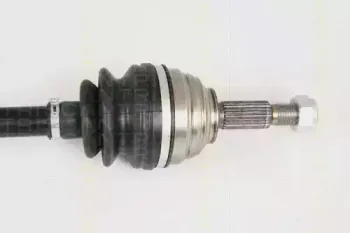triscan-854025612