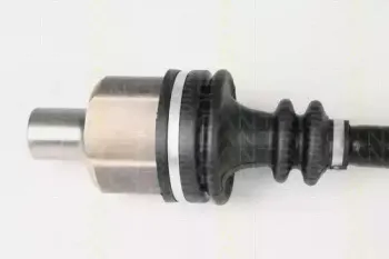 triscan-854025614