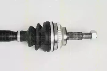triscan-854025614