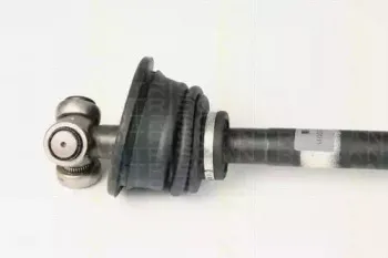 triscan-854025618