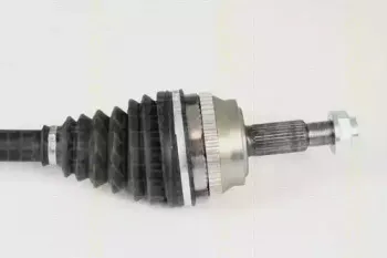 triscan-854025618